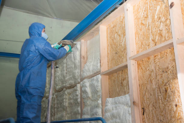 Best Insulation Inspection Services  in Benson, AZ