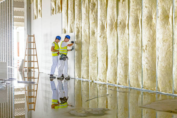 Best Local Insulation Services  in Benson, AZ